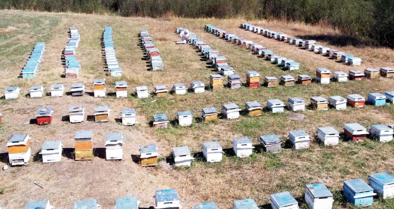 Gündemden Son Bilgiler: 10 bin yıllık bu meslek ayda 120 bin TL kazandırıyor: Bir kez deneyen paraya para demi
