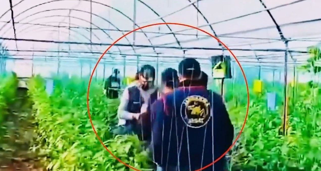 7 yıl önce cinayet işlemişti, serada yakalandı - En Son Haber ve Merak Edilenler