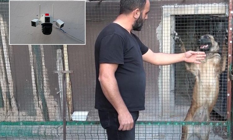 800 bin TL'lik güvercinlere servet gibi koruma! Kamera, çelik kapı ve kurt köpeği - Son Dakika Bilgileri