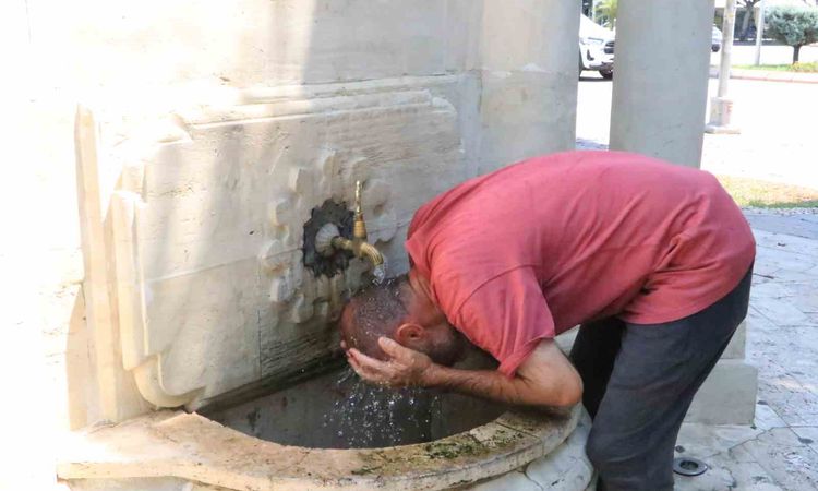 Adana'da kavurucu sıcaklar: Vatandaşlar ve sokak hayvanları serinlemek için çare arıyor - Son Dakika