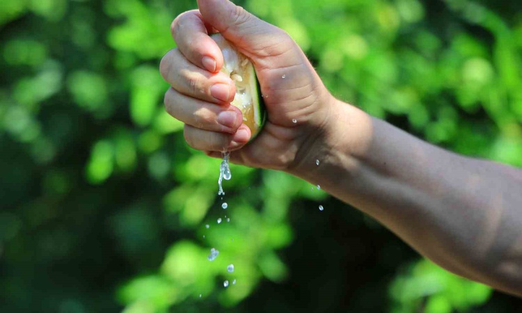 Adana'da limon 5 liraya gerileme kaydetti, Karadeniz kapalı olduğu için ihracat yapılamıyor: Gelişmeler Takip