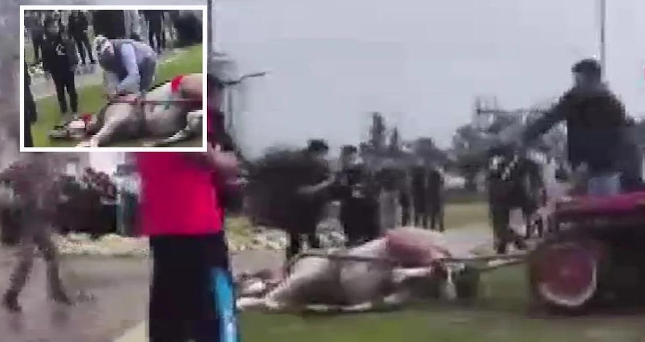 Ayrıntılar Netleşti: Adana'da vahşet: Koşmuyor diyerek atı darbetti - Son Dakika | İşte Tüm Ayrıntılar