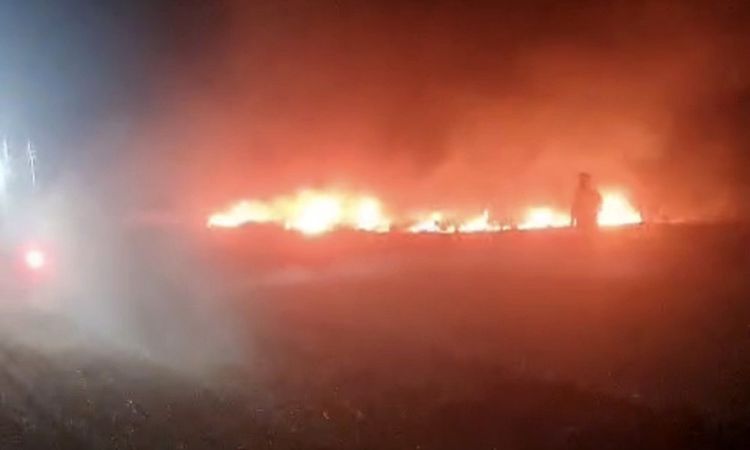 Afyonkarahisar'da Anız Yangını Kontrol Altına Alındı ve Merak Edilenler