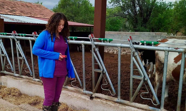 Afyonkarahisar Evciler'de Tarım ve Orman ekipleri işletmelerin kapasitesini inceliyor | İşte Tüm Ayrıntılar