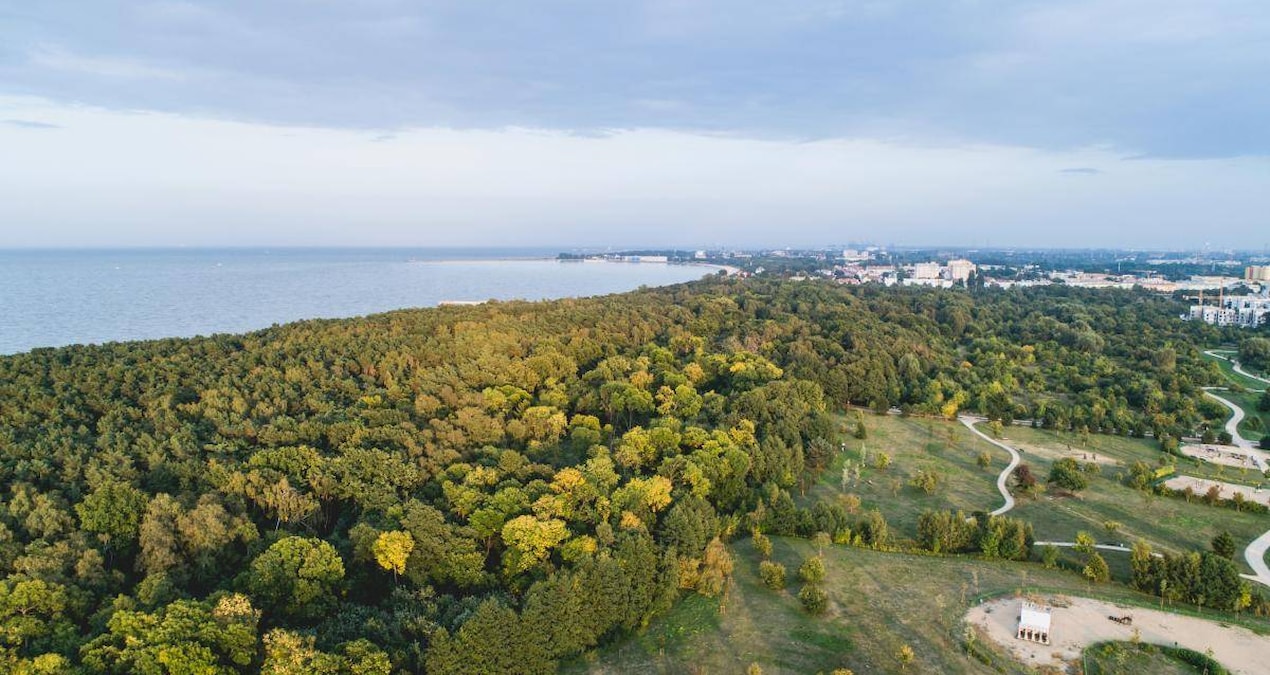 Hidden among the trees: 3 thousand year old treasure found - Latest News