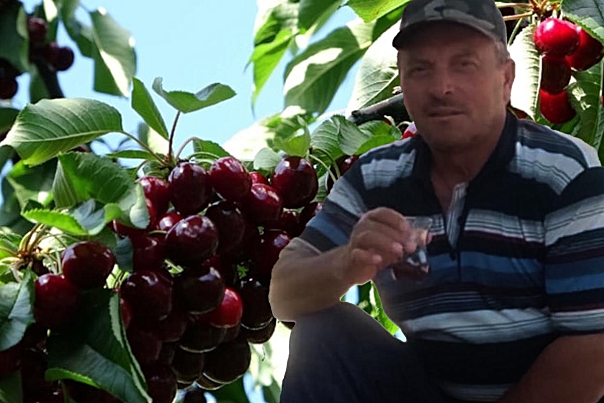 Latest Update: Couple Allegedly Poisoned After Eating Cherries Laid to Rest Side by Side