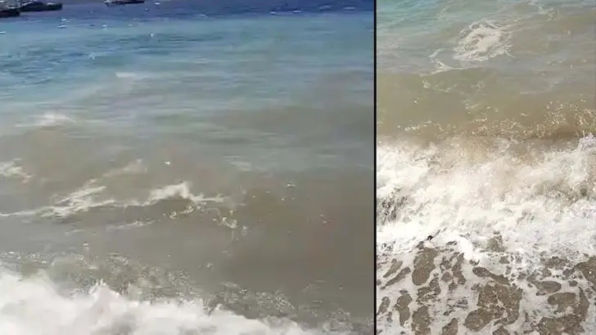 Agenda - An investigation has been launched into sea pollution in Bodrum: Here are the Details