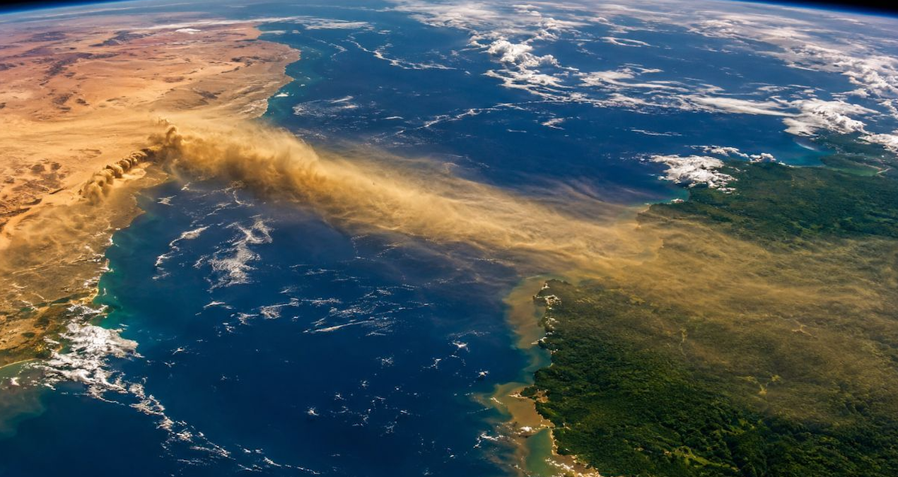A bridge between the desert and rainforest was found: It went unnoticed for years