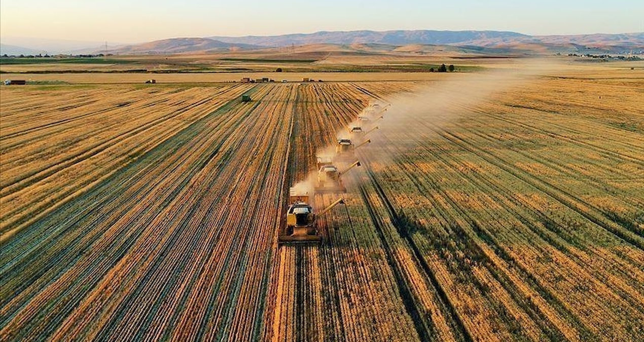 Analysis | The agricultural giant with a million-dollar fleet is on the verge of bankruptcy: Here are the Details