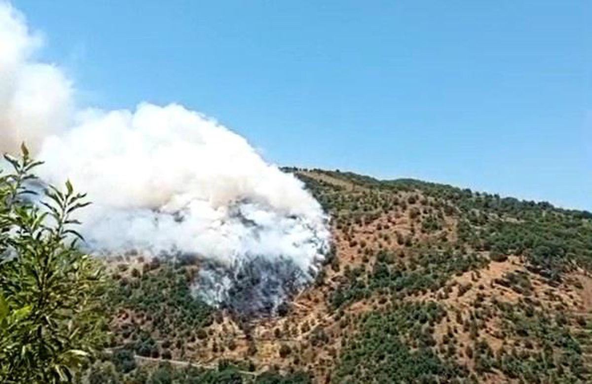 Latest Development: Maquis and forest fire in Sultanhisar