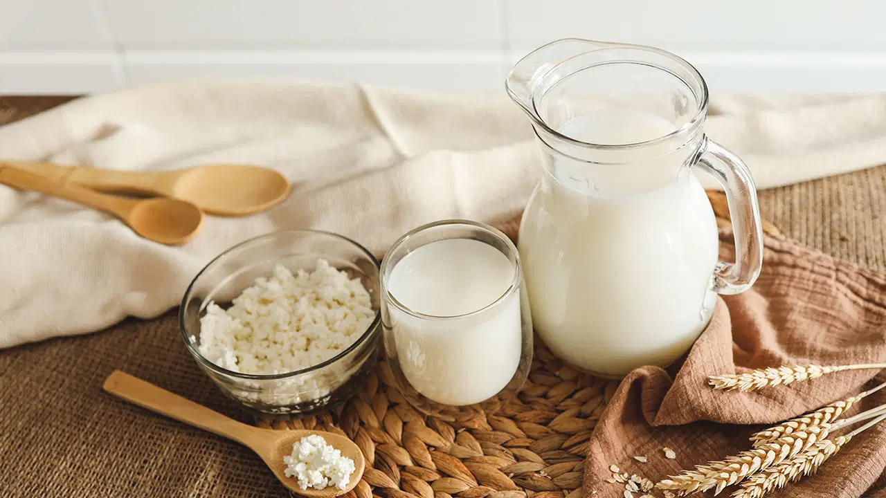 Analysis | The latest rising health trend: Is kefir really as beneficial as it claims? and Latest Developments