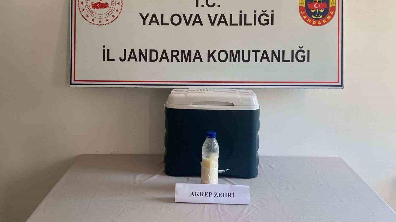 Hot Development: Found in a plastic bottle: Its value is 5 million dollars! and Latest Developments