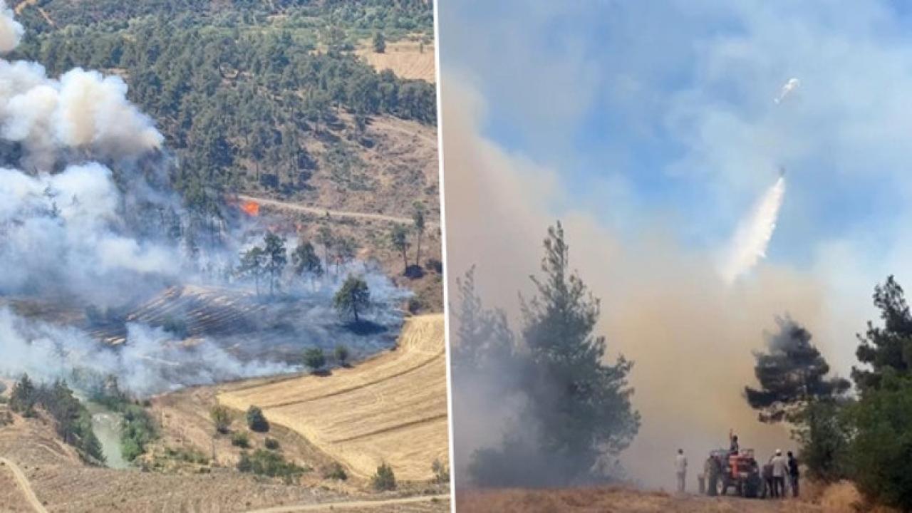 The fire that broke out in a grassland in Bursa spread to the forest: Cooling efforts continue: Here are the Details