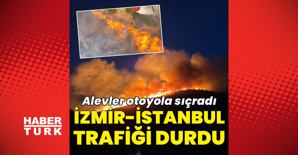 Forest Fires: Blaze in Bursa Extinguished, New Fire Erupts in Balıkesir – Latest Updates