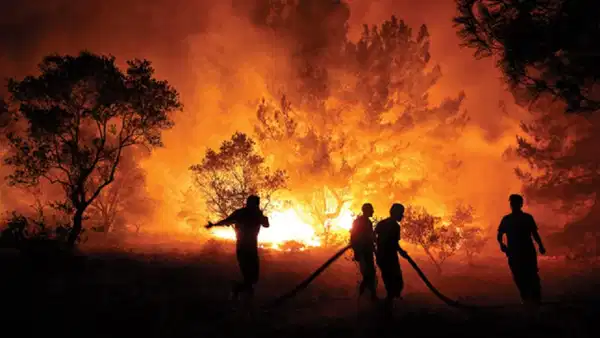 Agenda - Critical fire warning from Muğla Governorship: Call for maximum attention for a week: Here are the Details