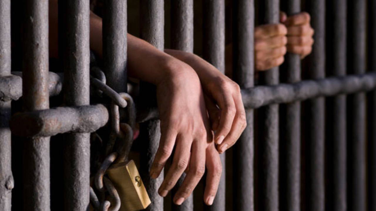 Latest Development: Reaction to the proposal of severe punishment for children: 'The solution is not punishment, but social policy' and Latest Developments