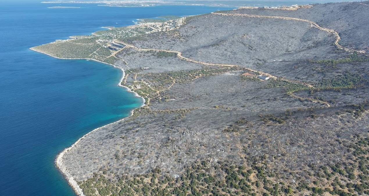 Hot Development: A hotel forest was reduced to ashes (Details)