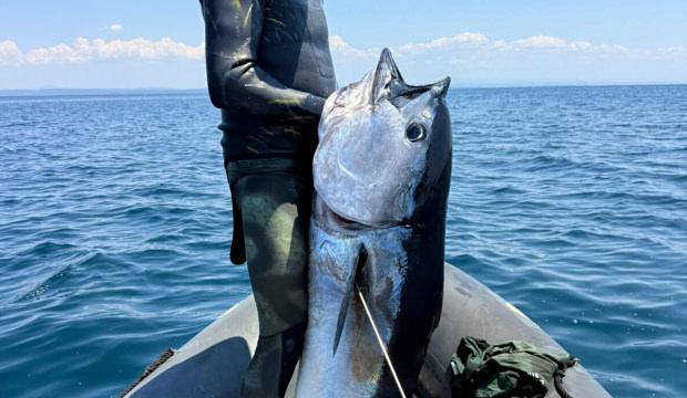 He caught a bluefin tuna larger than his size with a speargun.
