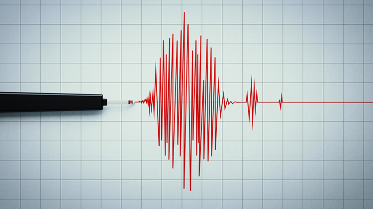 Agenda - Tsunami warning in New Zealand (Details)