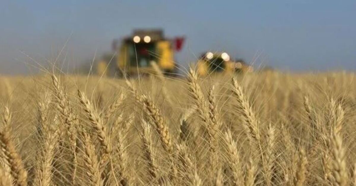 Hot Development: Agriculture PPI decreased by 9 percent in June