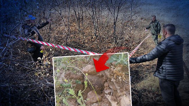 Analysis: 'Black Diamond' Discovered Underground in Erzurum and Erzincan Districts, Valued at 750 Euros Per Kilogram