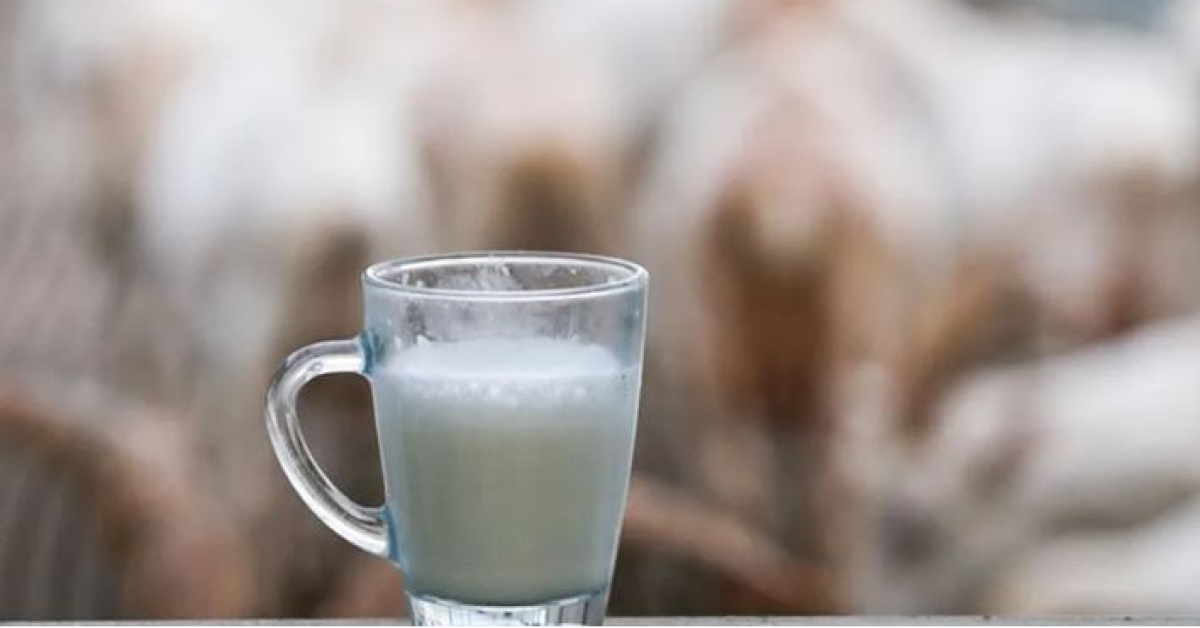Analysis: USK Holds Raw Milk Price Steady