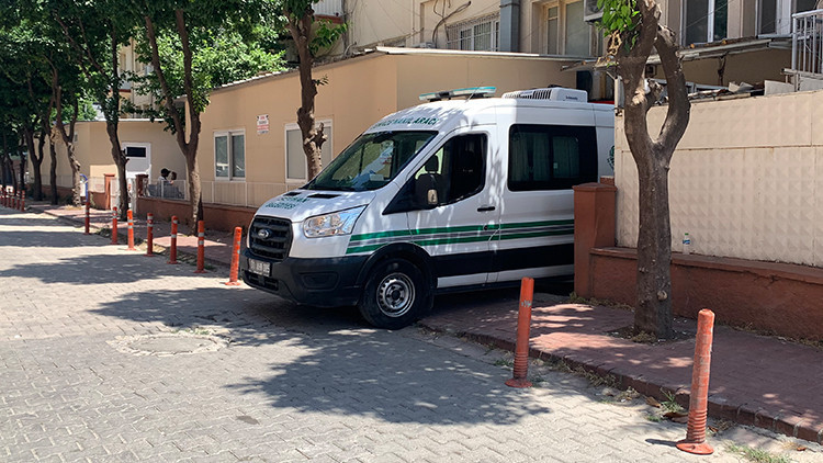 Biri 10 diğeri 7 yaşındaydı! Adana'da iki kardeşin kahreden ölümü: Dengelerini kaybedip kanala düştüler: İşte