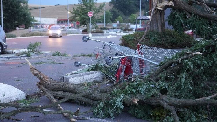 Gündemden Son Bilgiler: Analiz | Fransa'da şiddetli fırtına... 2 kişi öldü, 53 bin hane elektriksiz kaldı: İşt