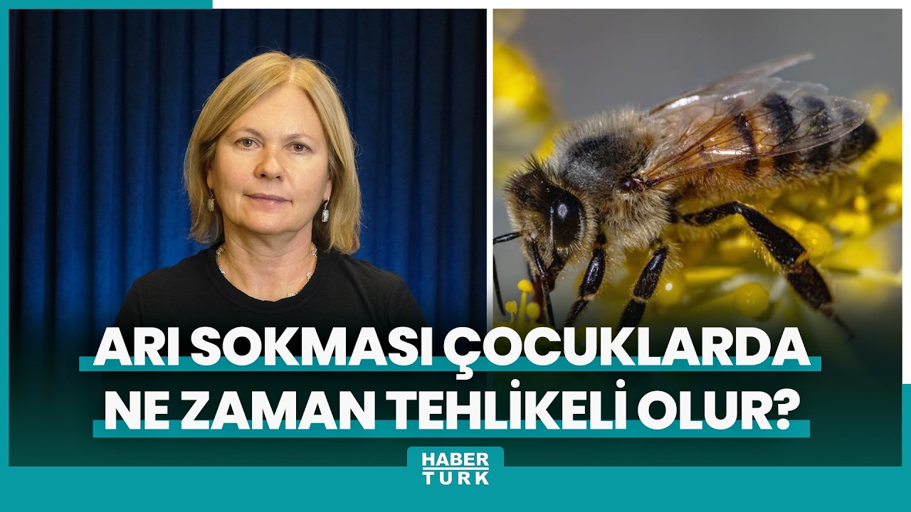 Arı sokması ne zaman tehlikeli?: İşte Ayrıntılar