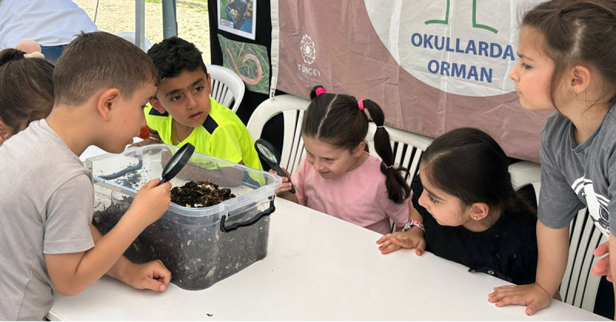 Son Gelişme: 267 okulda "Orman Bayrağı" dalgalanacak ve Son Gelişmeler - Son Dakika Bilgileri