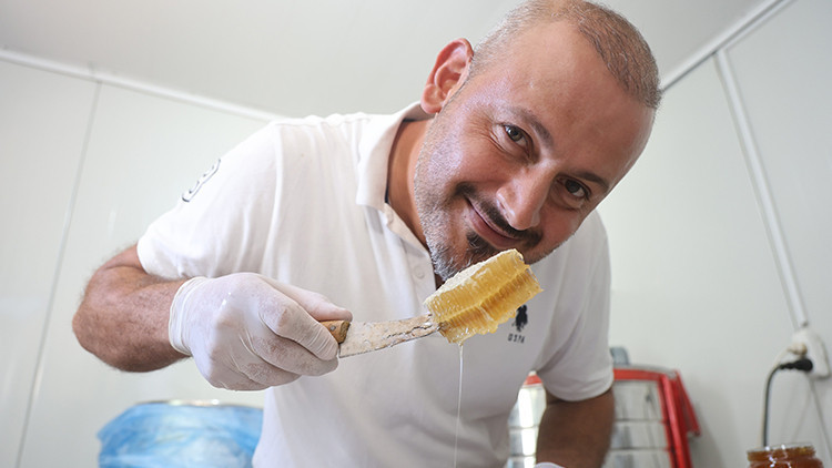 Gündemden Son Bilgiler: Hatay'da yağışlı mevsim bitki çeşitliliğini artırdı: Arıcılar yüksek rekolte beklentis