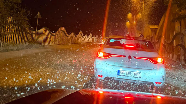 Son Gelişme: Sakarya'da milyonlarca kelebeğin ölüm dansı: İşte Ayrıntılar ve Merak Edilenler