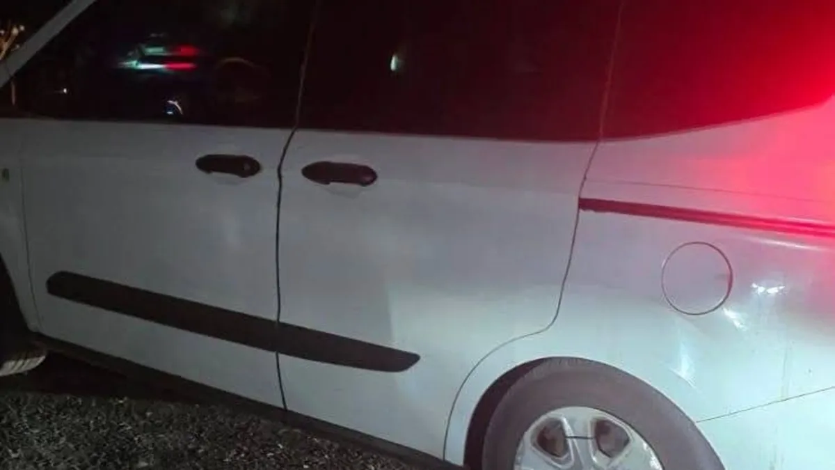 Gündemden Son Bilgiler: Otomobil sürüye çarptı! 20 koyun telef oldu ve Son Gelişmeler