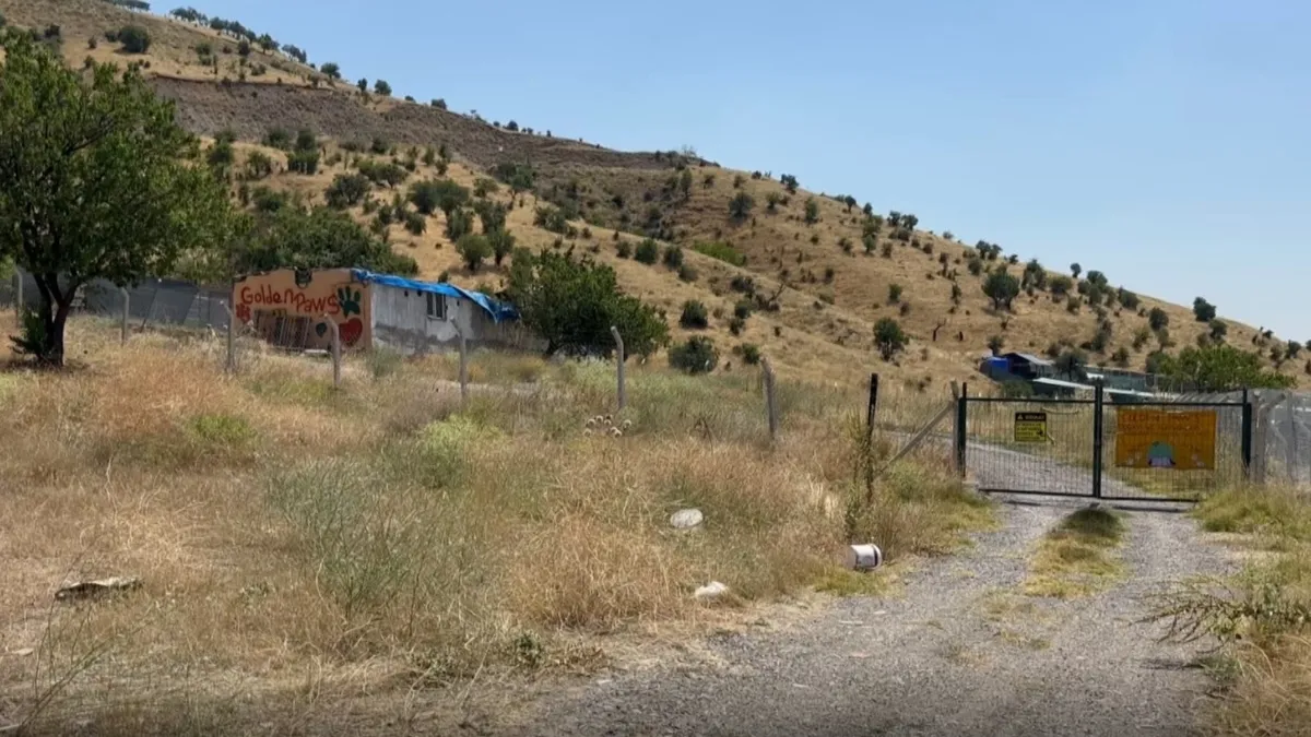 Analiz | Ankara’da cesedi bulunmuştu: Gülay Akgün cinayetinde 5 gözaltı!: İşte Ayrıntılar ve Merak Edilenler