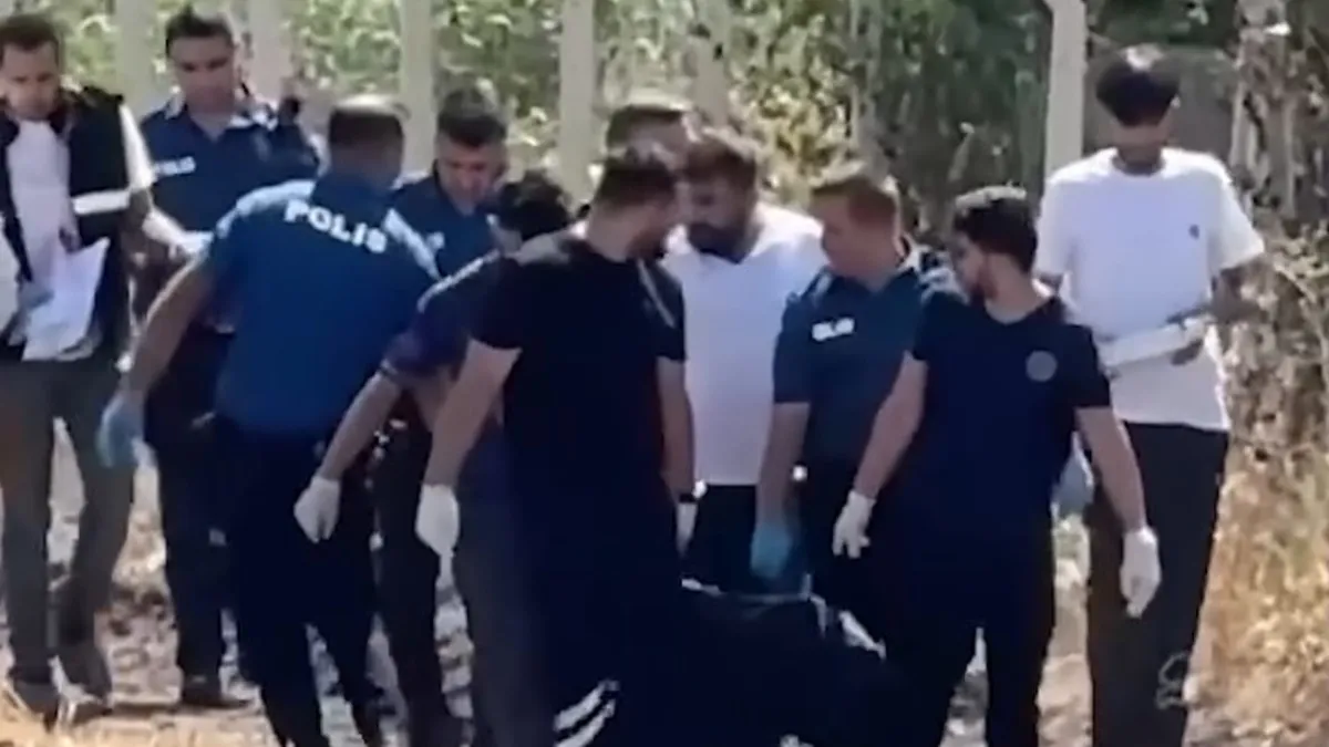 Kritik Açıklama: Analiz | Diyarbakır'da boş arazide erkek cesedi bulundu ve Son Gelişmeler ve Merak Edilenler