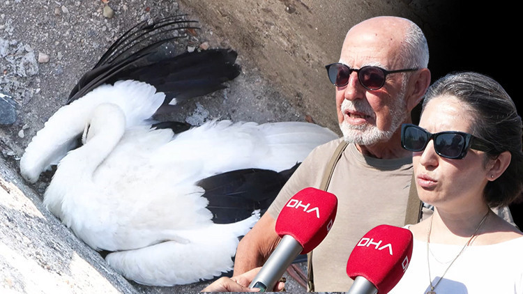 Gündemden Son Bilgiler: İstanbul'da korkunç görüntü! 52'si öldü, 5'i yaralandı | 'Bu facia devam edecek' (Deta