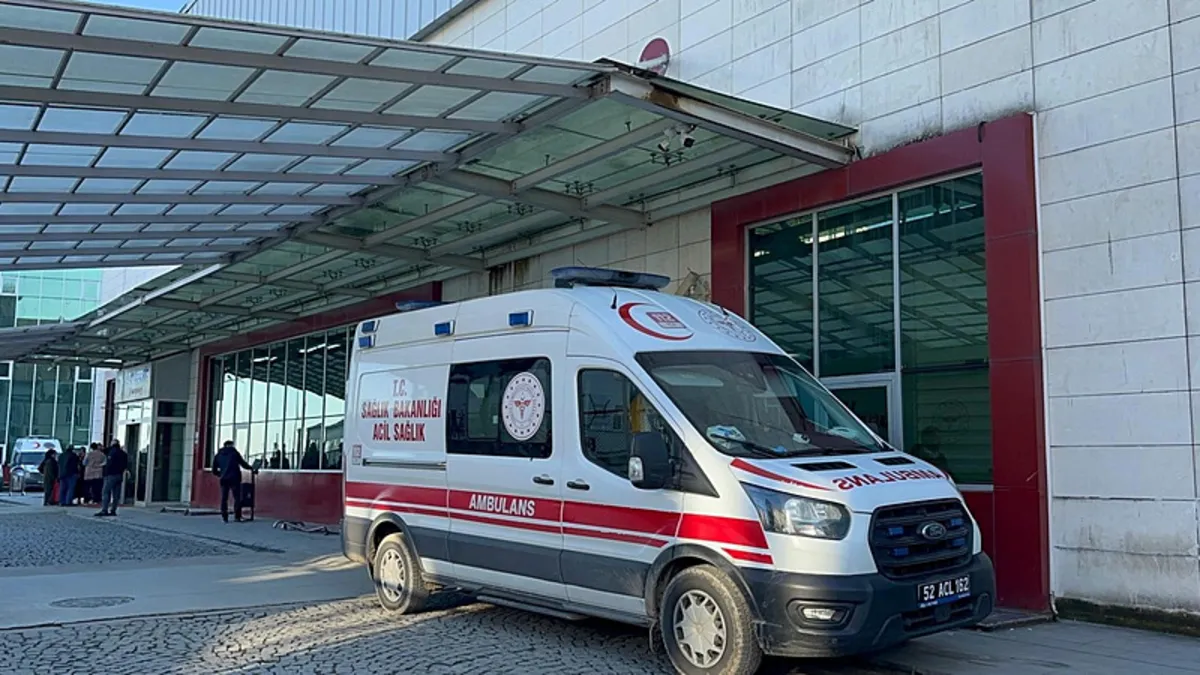Kritik Açıklama: Ordu’da feci olay: Irmağa giren mevsimlik işçi boğuldu, kardeşinin durumu ağır! (Detaylar)
