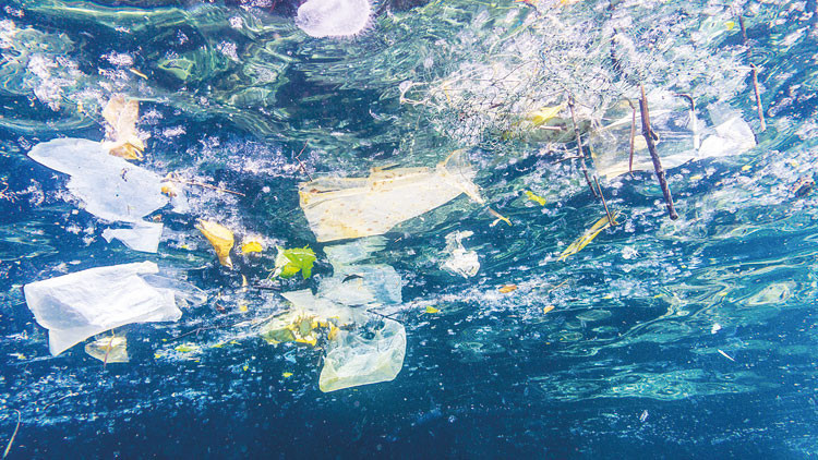 Kritik Açıklama: Akdeniz’de plastik alarmı! Akıntılarla Alanya’ya taşınıyor | İşte Tüm Ayrıntılar