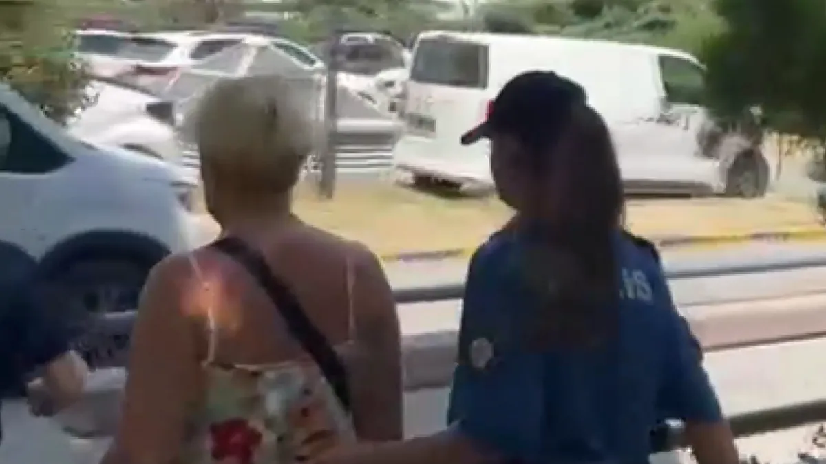 Ayrıntılar Netleşti: Bakırköy’deki 'kedi' kavgasında akılalmaz detaylar: O kadın yolu böyle kapatmıştı! Suç do