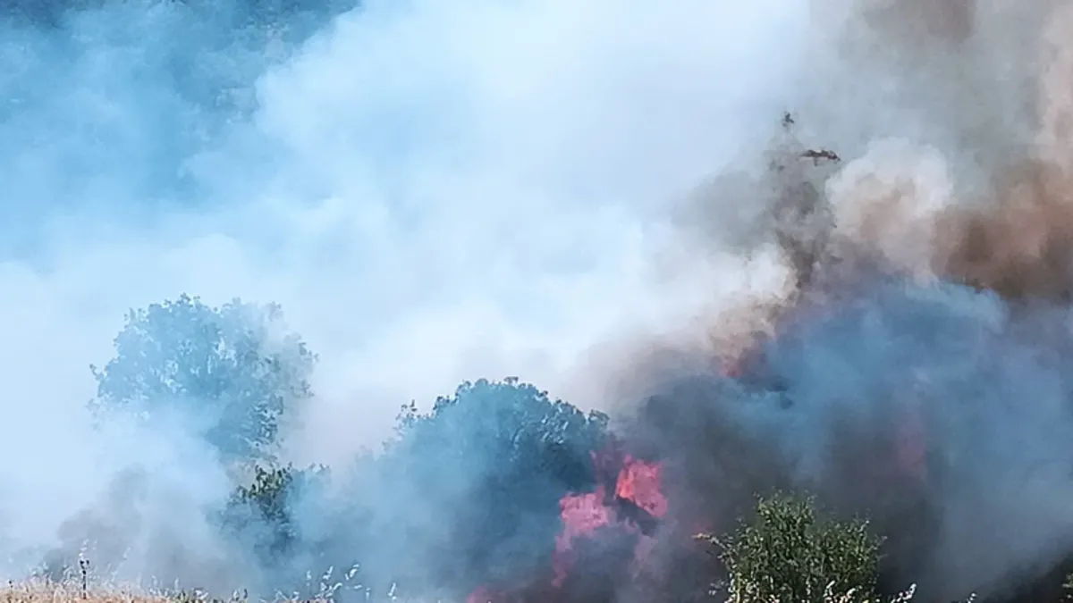 Malatya’da çıkan yangın kontrol altında! (Detaylar)