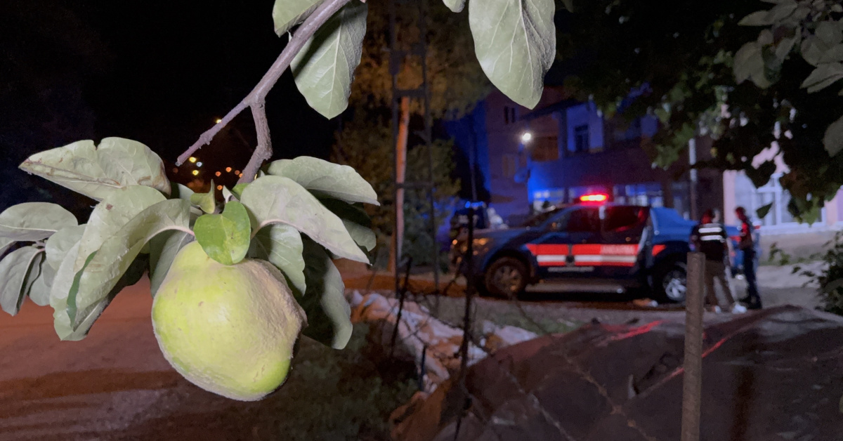 Son Gelişme: Ayva dalı cinayeti!: İşte Ayrıntılar