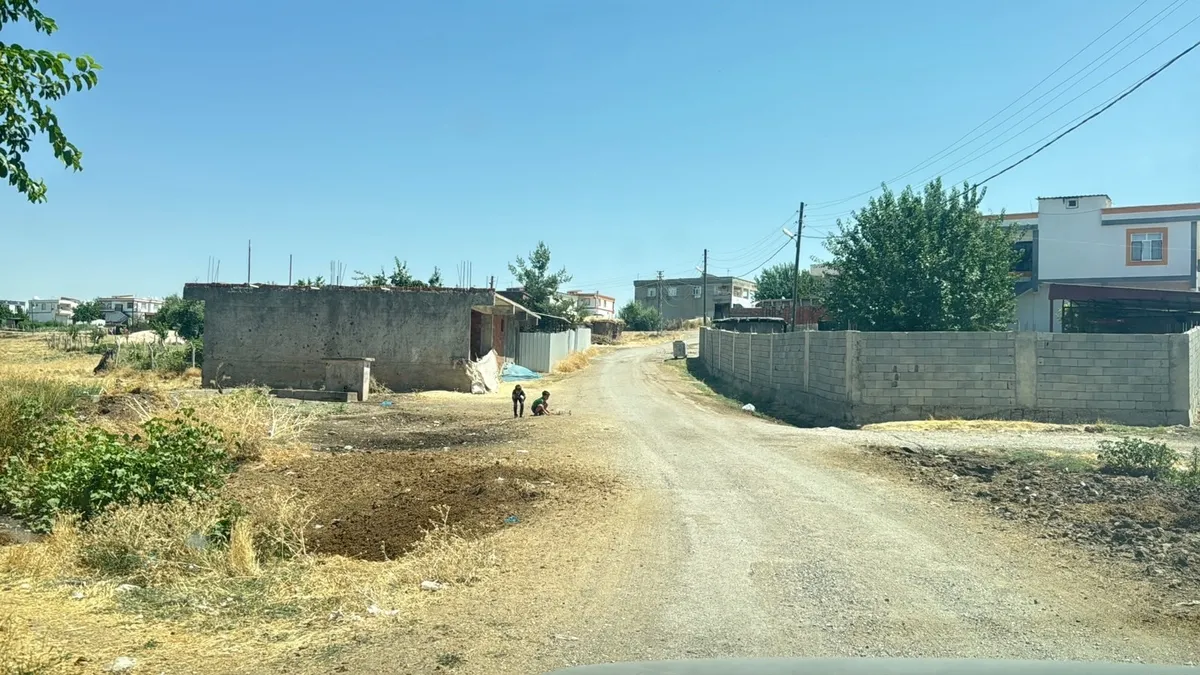 Son Gelişme: SON DAKİKA... Diyarbakır'da kuduz alarmı! Tüm mahalle karantinaya alındı: 4 ay önce kedi ısırmış!