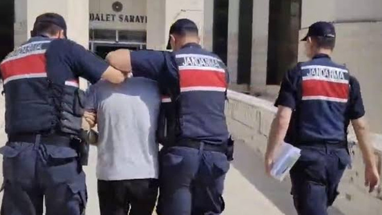 Ayrıntılar Netleşti: Edremit’teki orman yangına ilişkin 1 tutuklama ve Son Gelişmeler | İşte Tüm Ayrıntılar