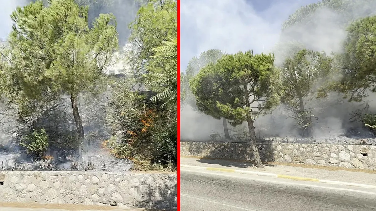 Gündemden Son Bilgiler: Balıkesir’de korkutan yangın! Yol kenarındaki alevler ormana sıçradı: Ekipler peş peşe