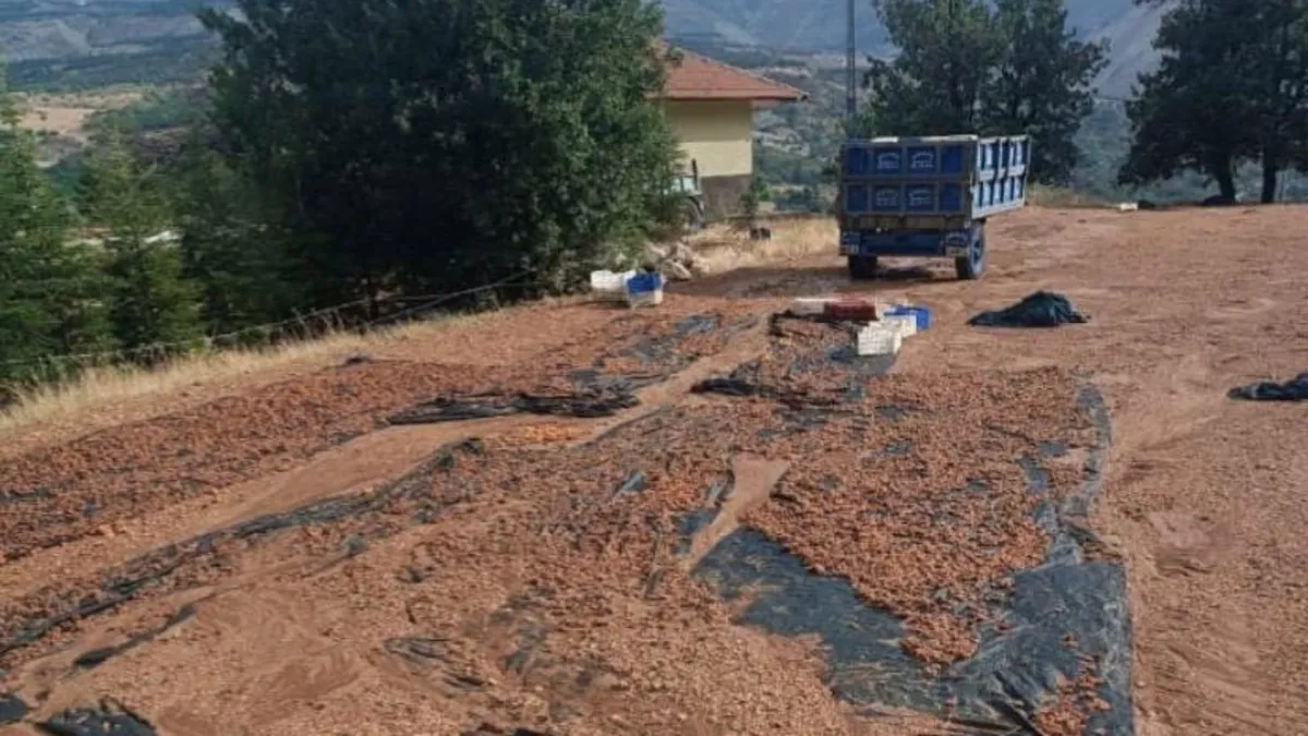 Malatya'da sağanak yağış etkili oldu (Detaylar) - Son Dakika Bilgileri