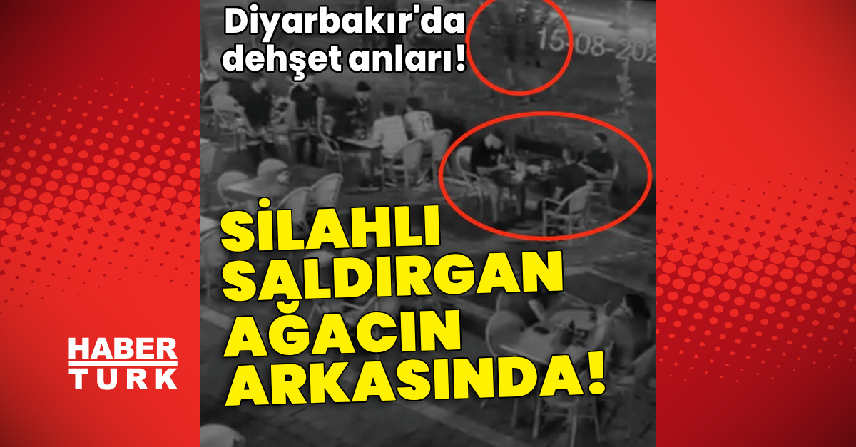 Sıcak Gündem: Silahlı saldırgan ağacın arkasında! Diyarbakır'da dehşet! ve Merak Edilenler