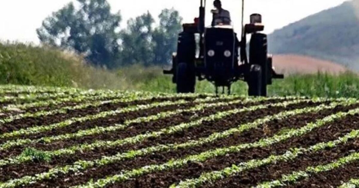 Gündemden Son Bilgiler: Tarımsal girdi fiyatları haziranda geriledi