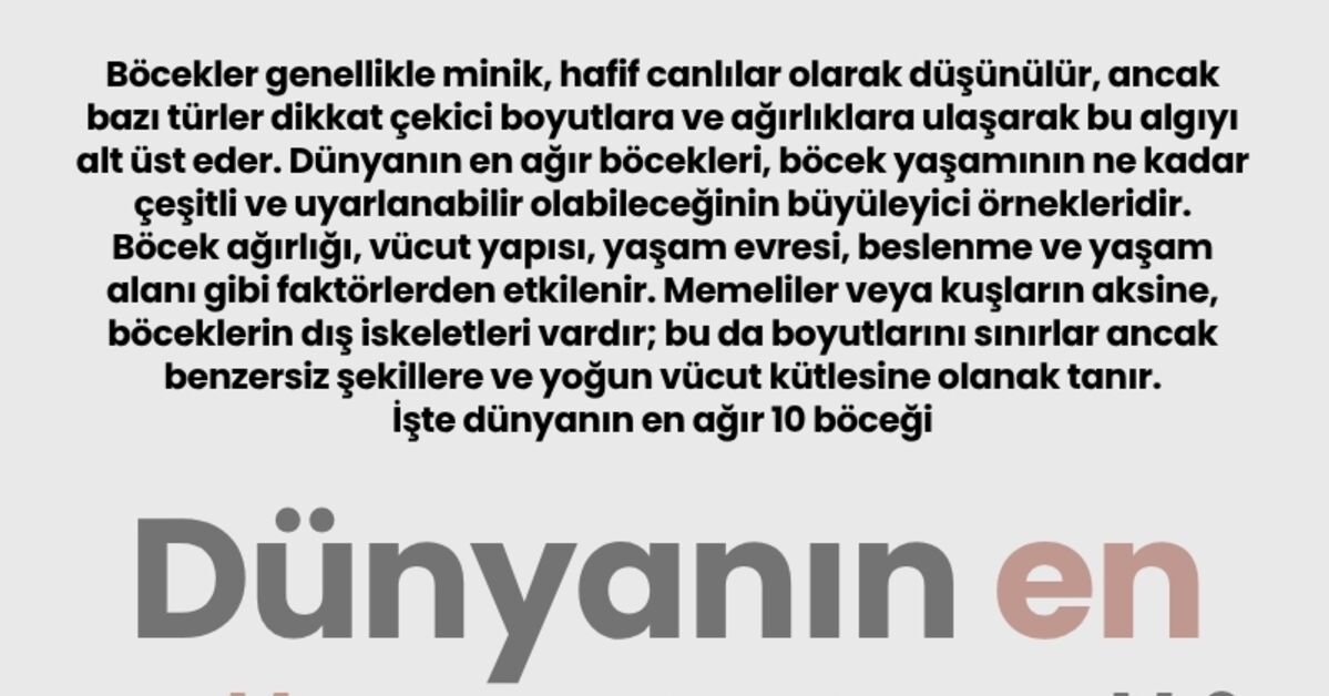Sıcak Gündem: Dünyanın en ağır 10 böceği | İşte Tüm Ayrıntılar