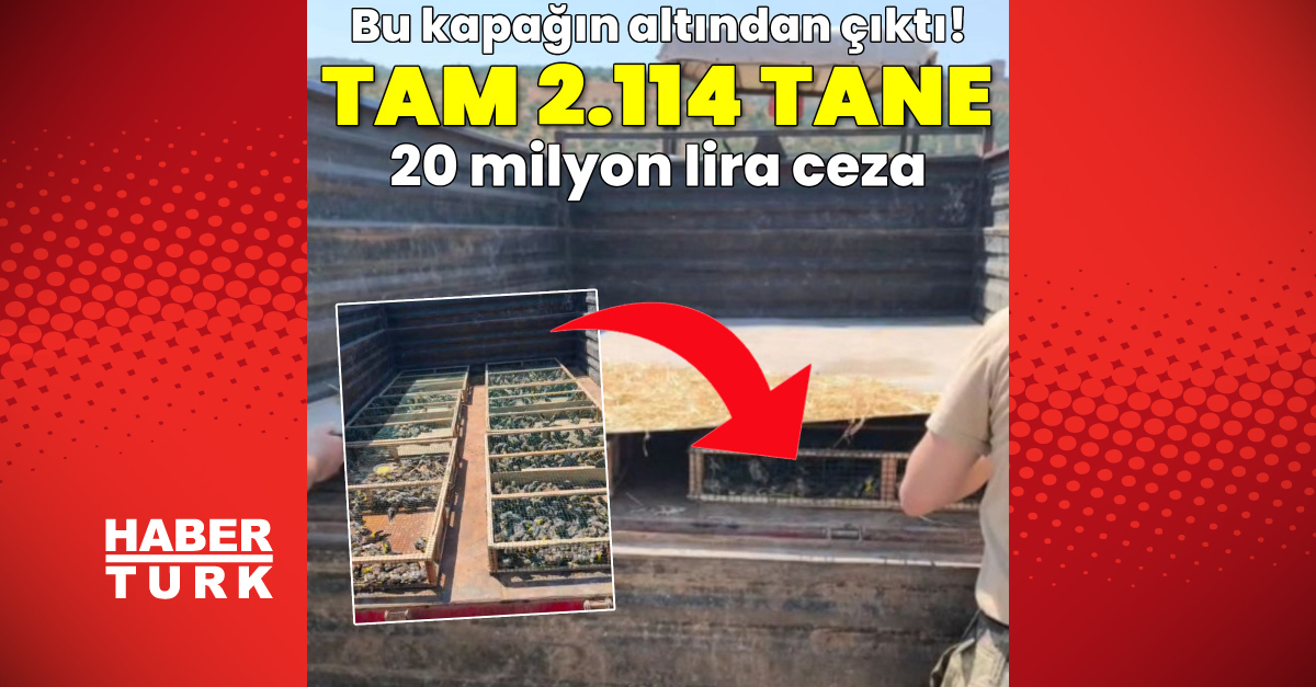 Sıcak Gündem: Kapağın altından çıktı! Tam 2 bin 114 adet: Gelişmeler Takip Ediliyor