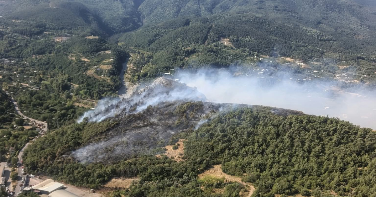 Son Gelişme: Bursa'da 3 noktada orman yangını çıktı